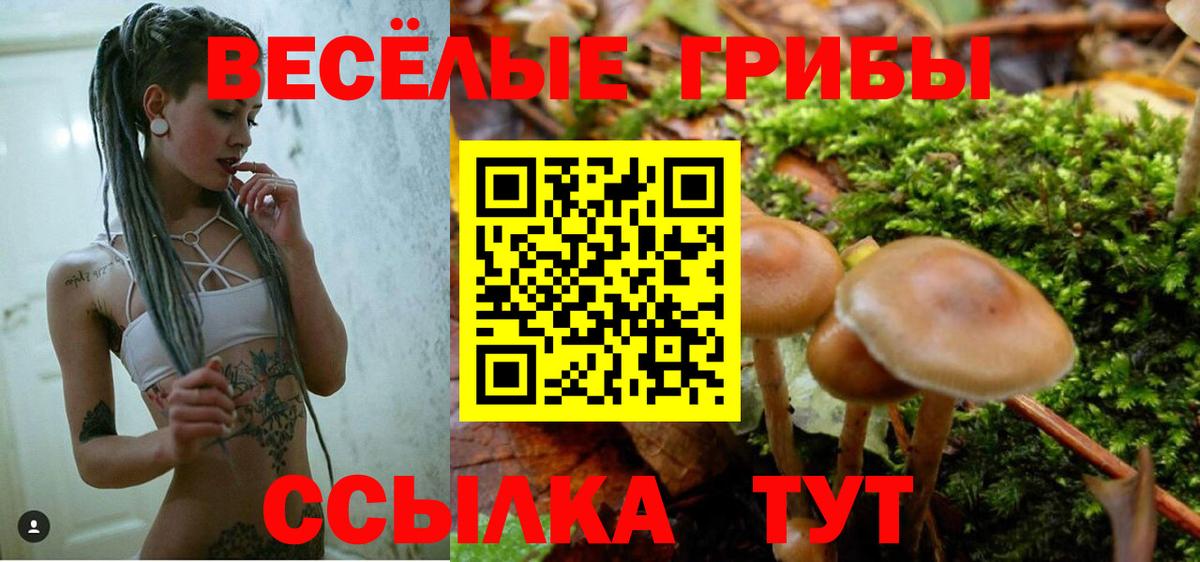 Псилоцибиновые грибы мицелий Рязань